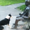 銅像になつく犬