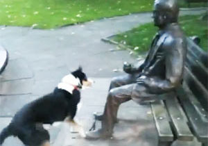 銅像になつく犬