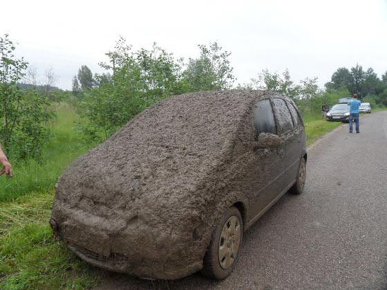 車の擬態化