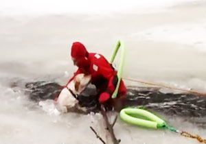 氷にはまった犬を救出