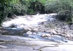 鉄砲水の恐ろしさが分かる映像