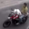 バイクを運転するワンコ