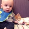 赤ちゃんの腕をギュッとつかむ子猫