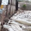 橋が氷に押し流されそう