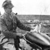 第一次世界大戦と猫